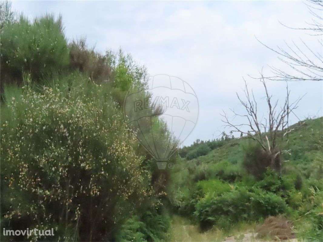 Quinta  para venda - Grande imagem: 3/9