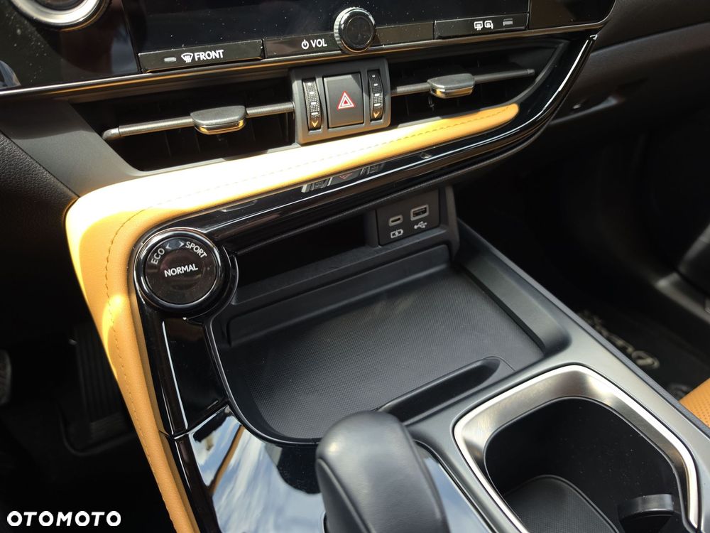 Lexus NX - 17