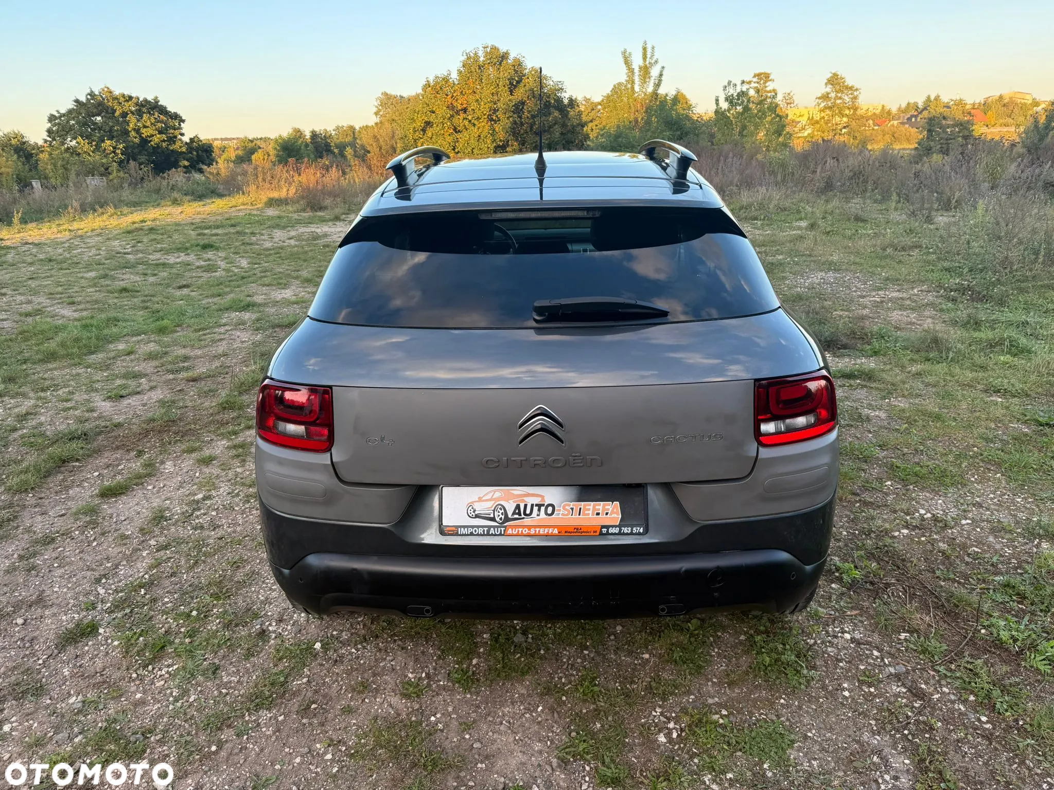 Citroën C4 Cactus BlueHDi 100 Stop&Start Live - 17