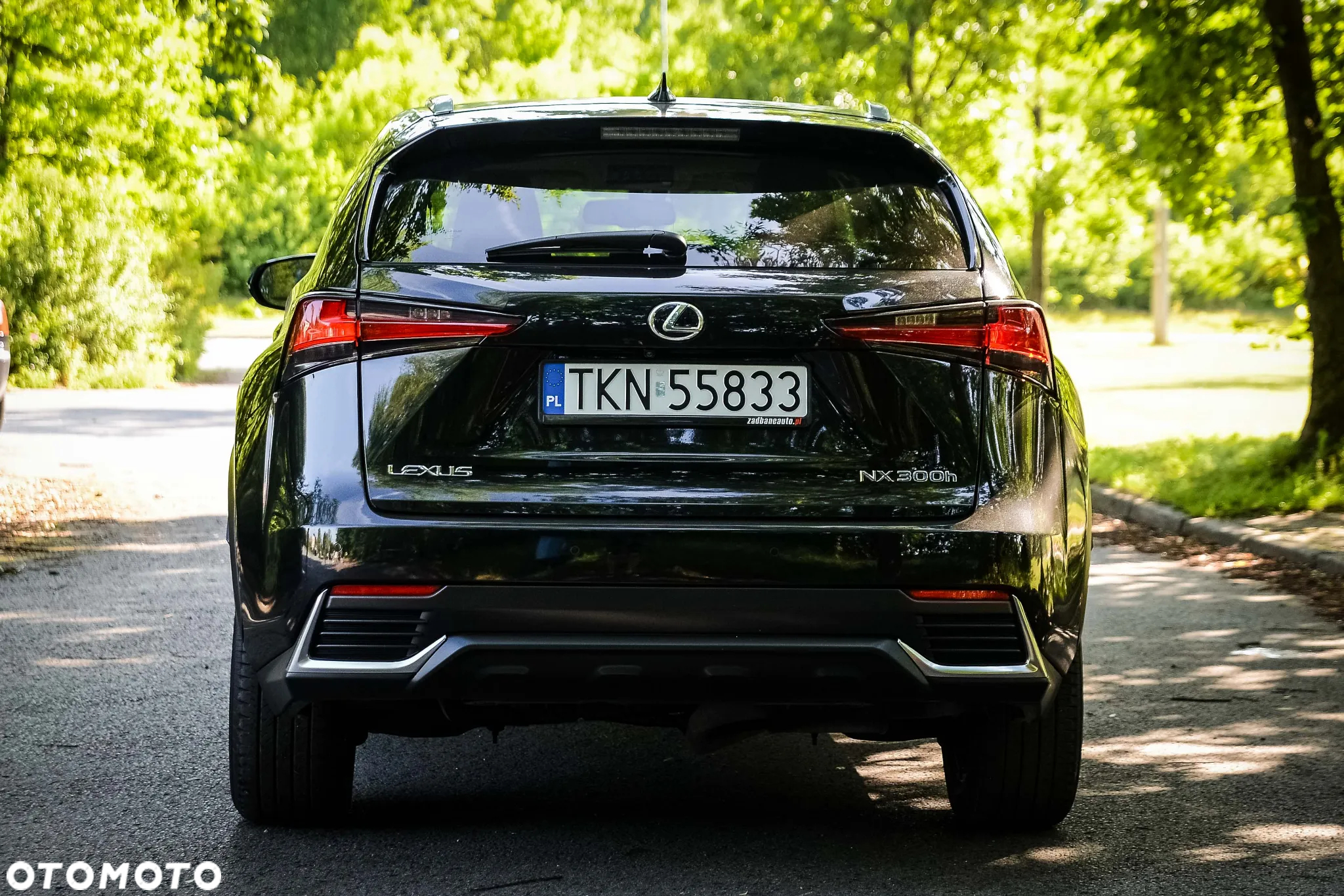 Lexus NX 300h Prestige AWD - 7