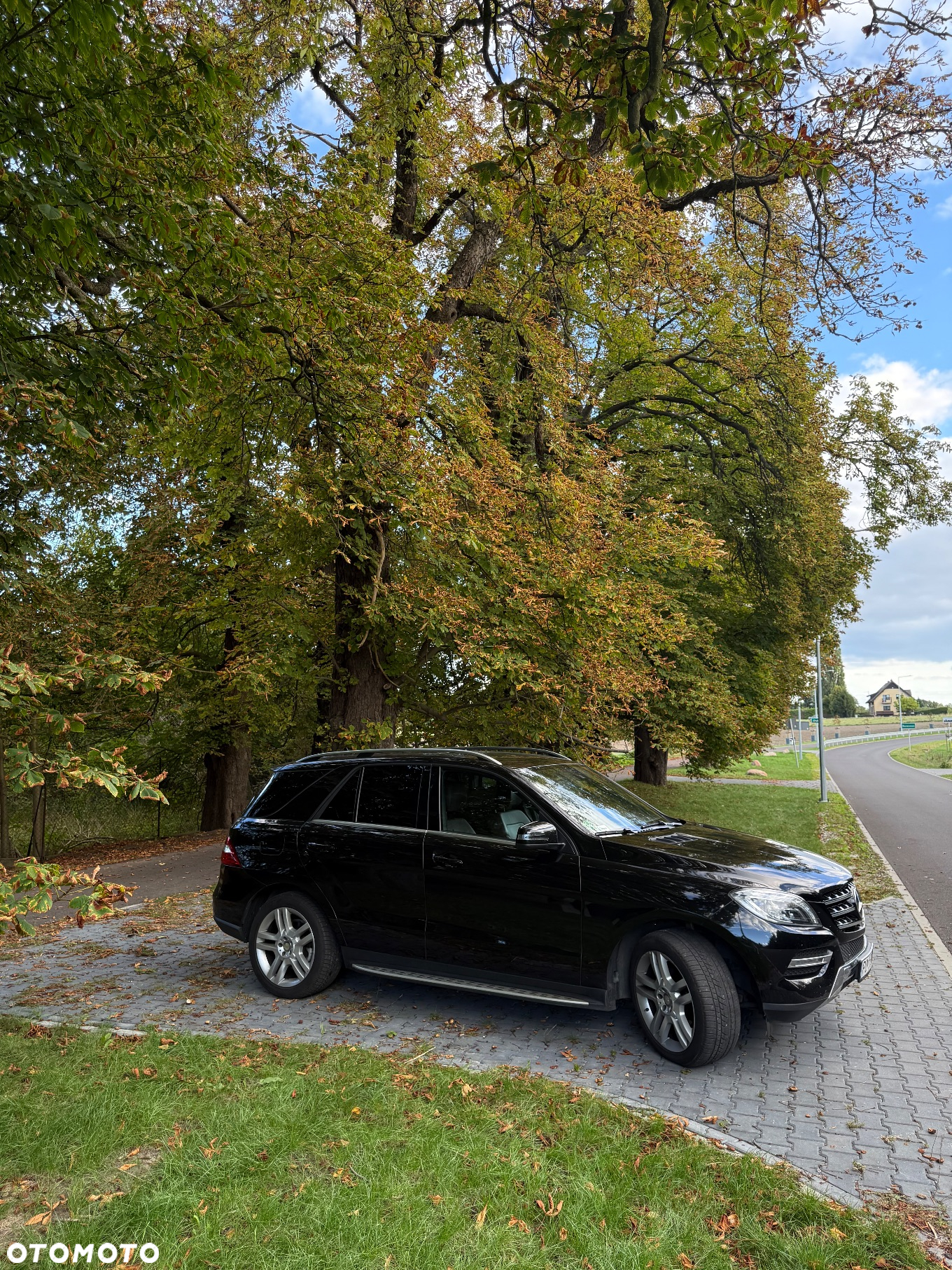 Mercedes-Benz ML 350 BlueTec 4-Matic - 11