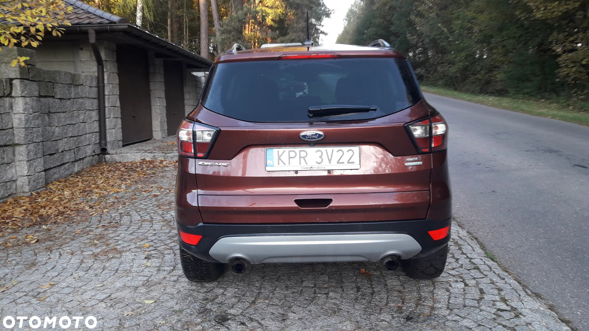 Ford Escape 1.5 EcoBoost AWD SE - 24