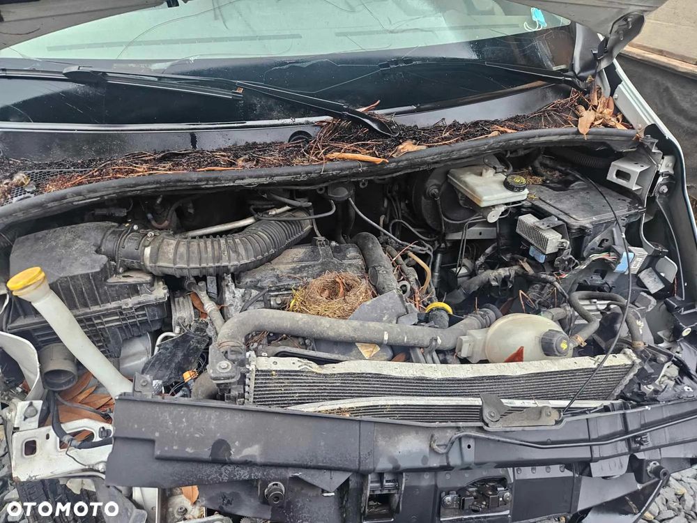 Renault MASTER KONTENER WINDA 2014 ROK - 11