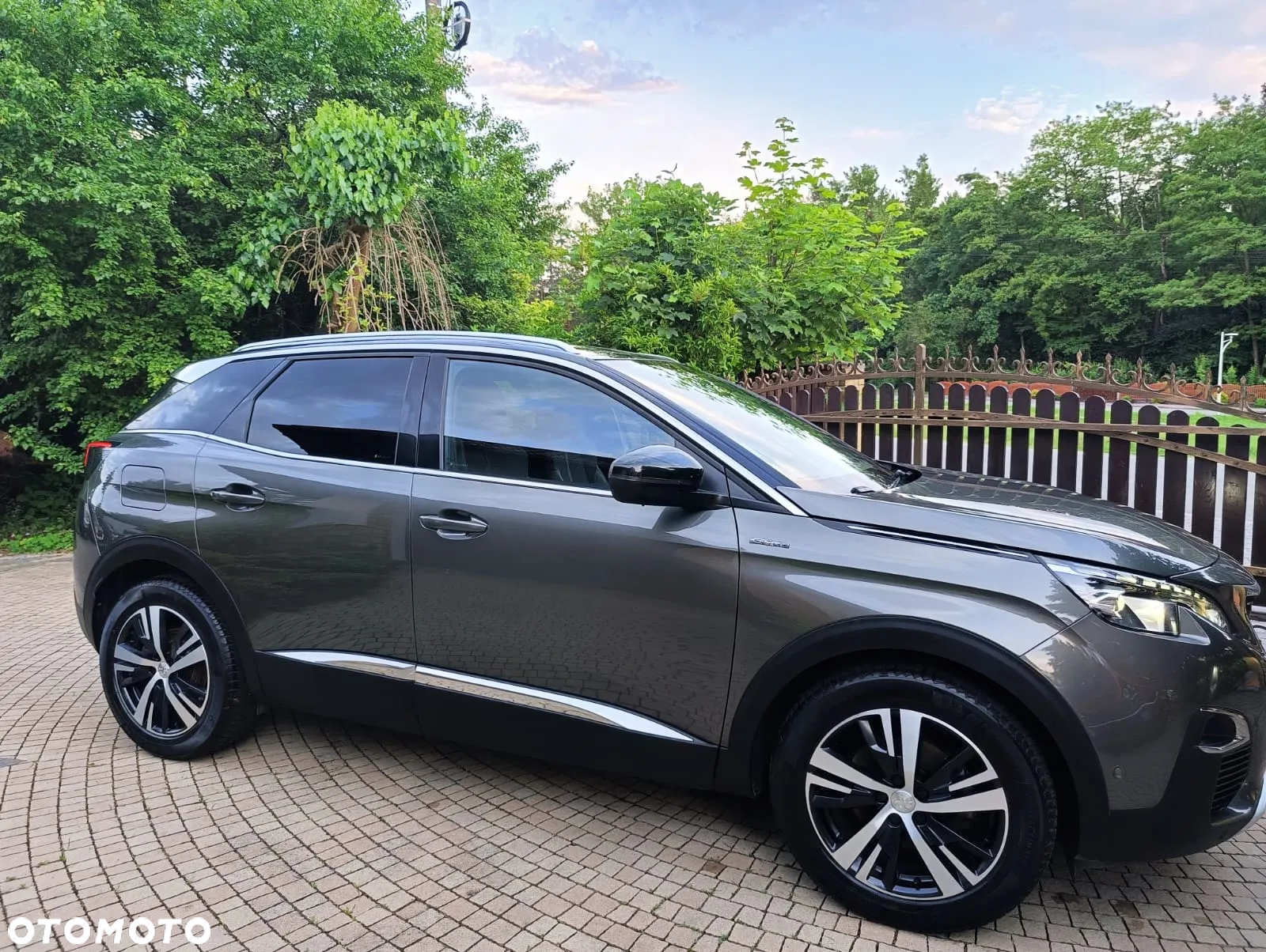 Peugeot 3008 - 21