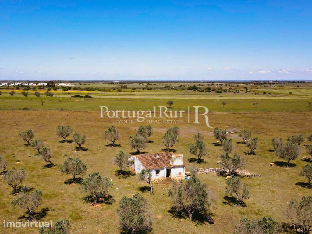 Quinta com monte para recuperar em Sousel - Grande imagem: 2/44