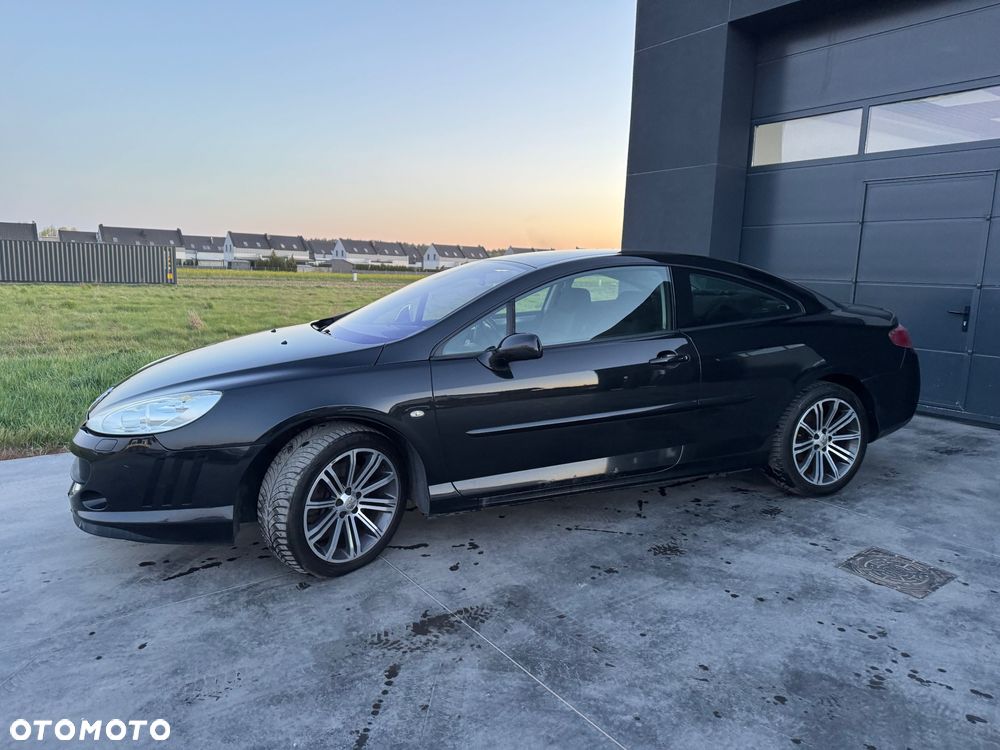 Peugeot 407 165 Sport - 8