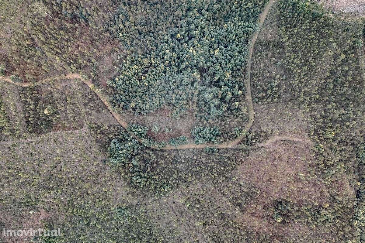 Terreno  para venda - Grande imagem: 2/10