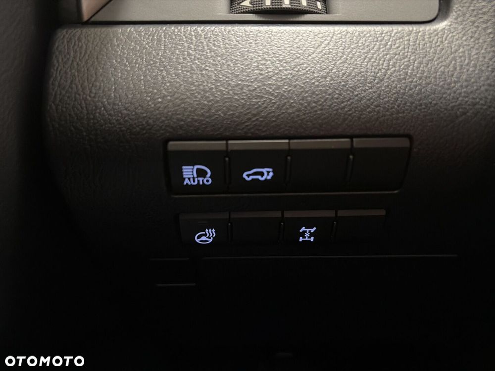 Lexus RX 300 Business Edition - 19