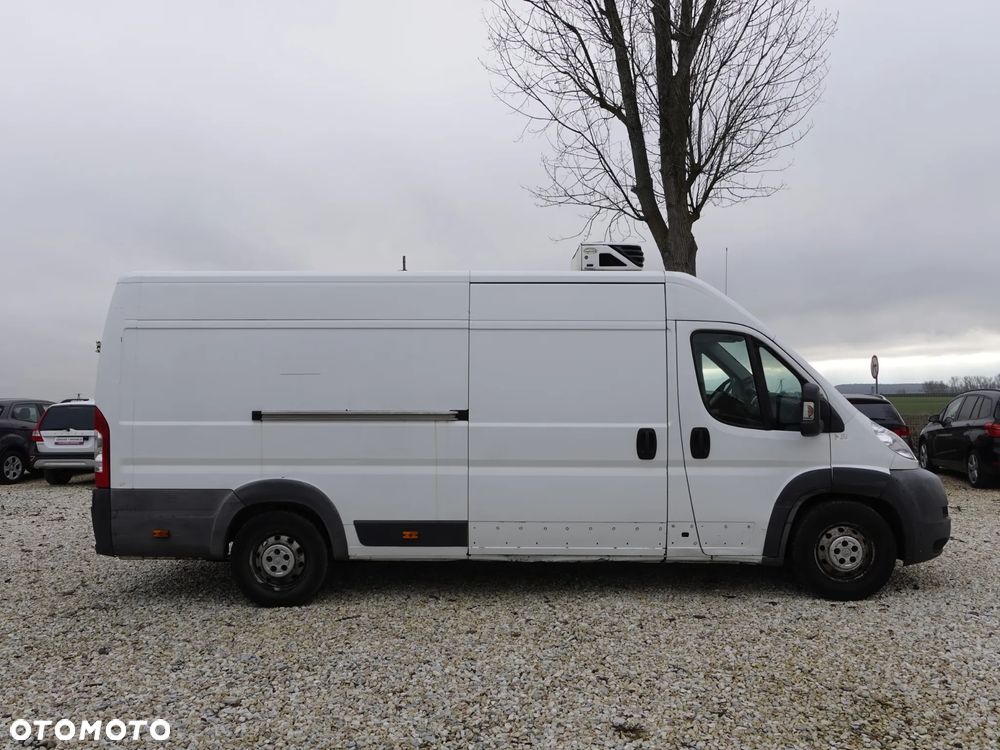 Peugeot Boxer Maxi - Chłodnia - 11