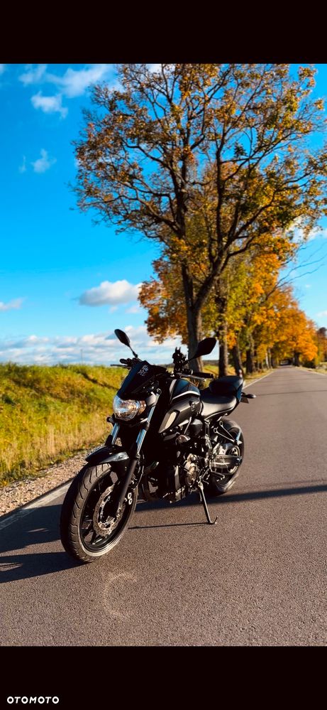 Yamaha MT - 19