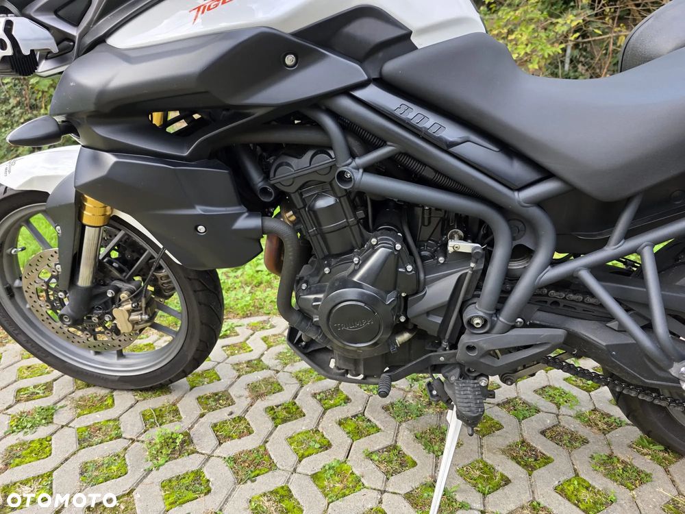 Triumph Tiger - 7