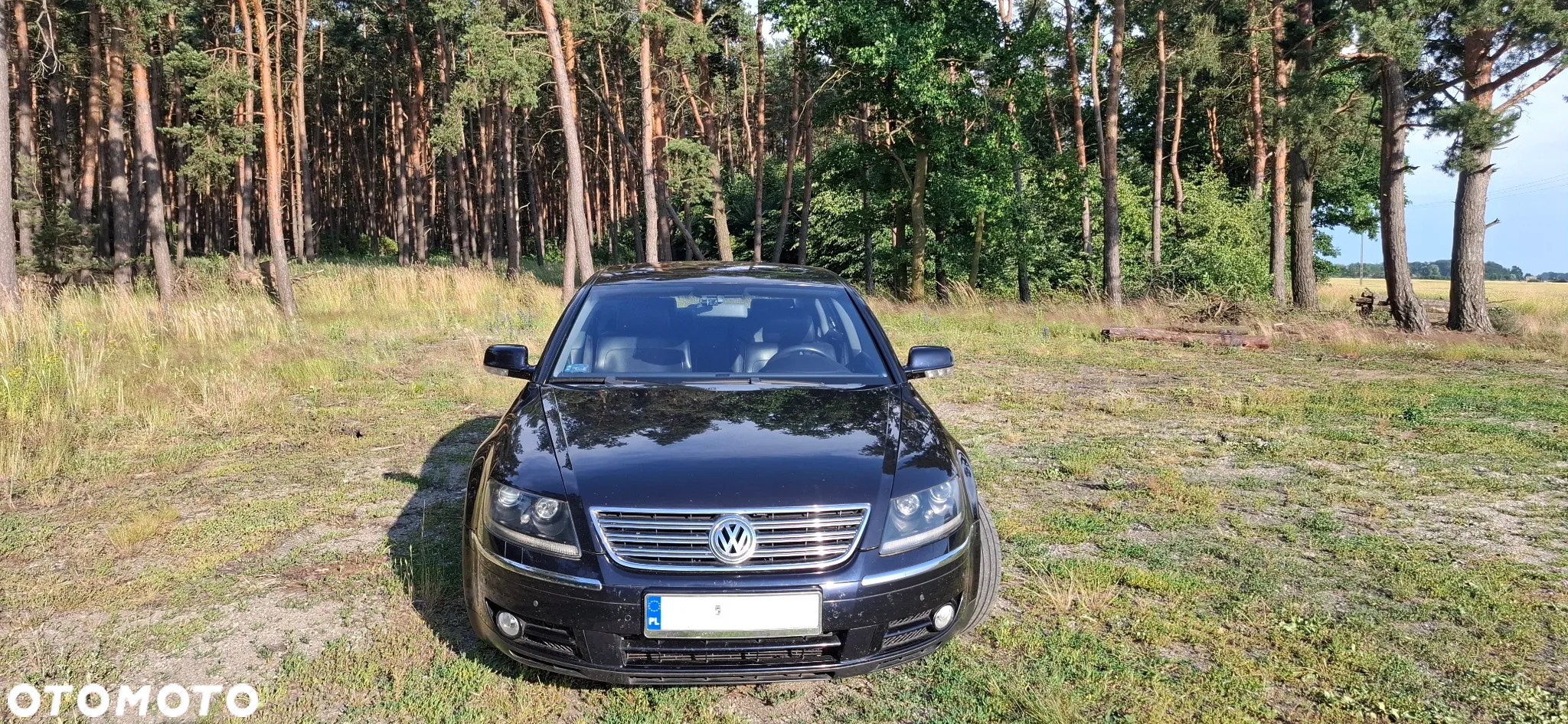 Volkswagen Phaeton 4.2 V8 4Mot (4 os.) - 2