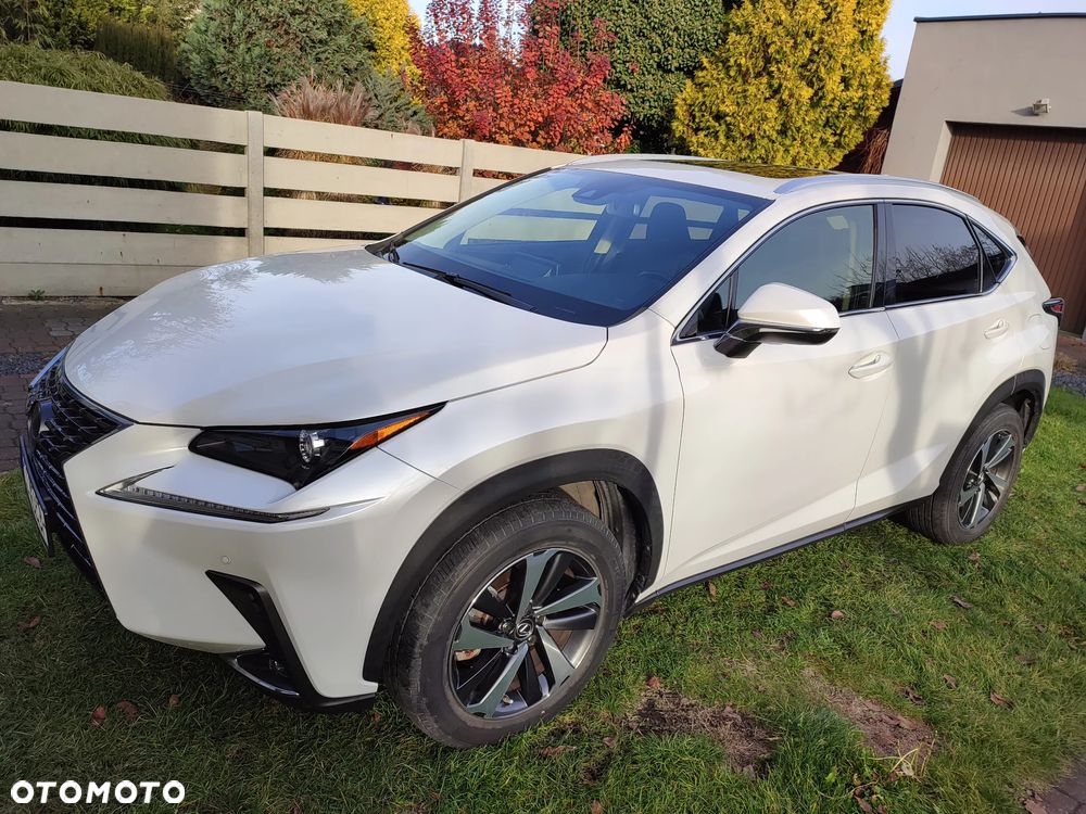 Lexus NX 300 - 1