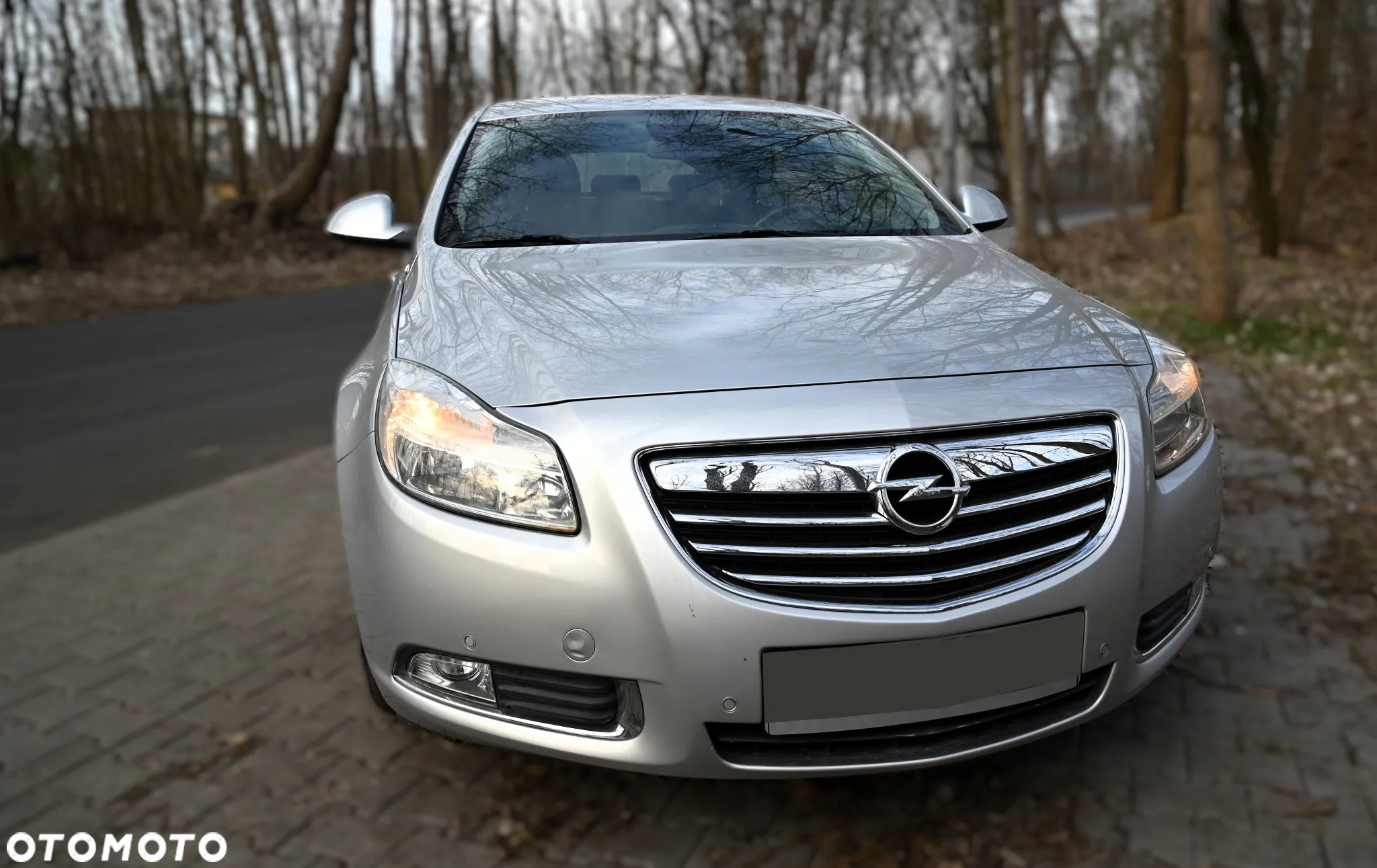 Opel Insignia - 2