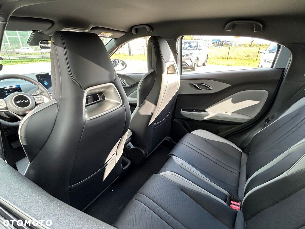 BYD Dolphin Surf - 14
