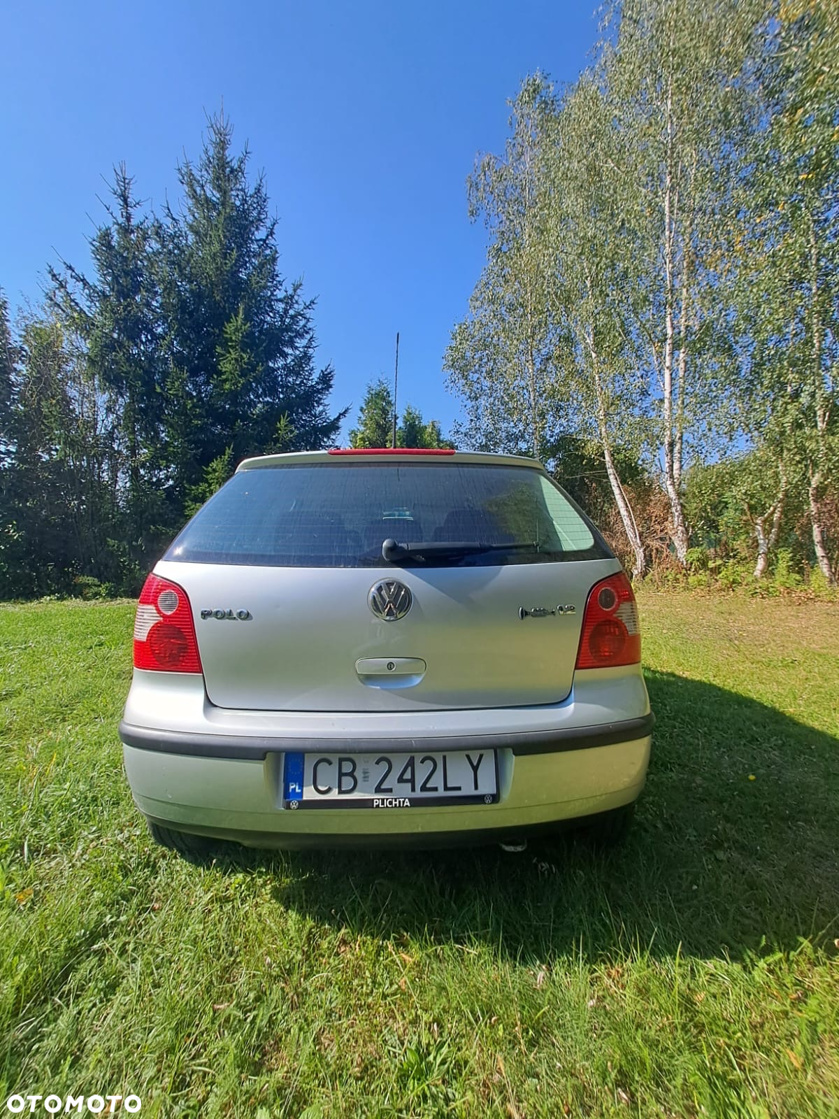 Volkswagen Polo - 4