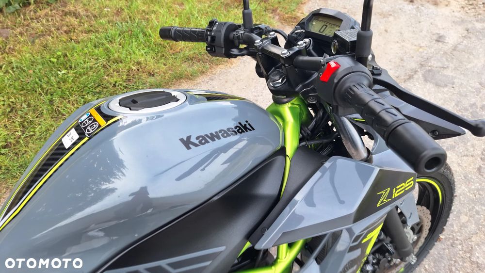 Kawasaki Z - 17