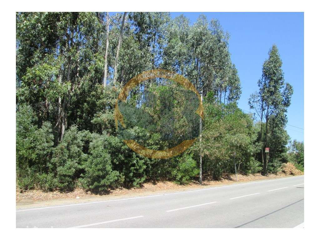 Terreno em Ovar - Grande imagem: 2/7