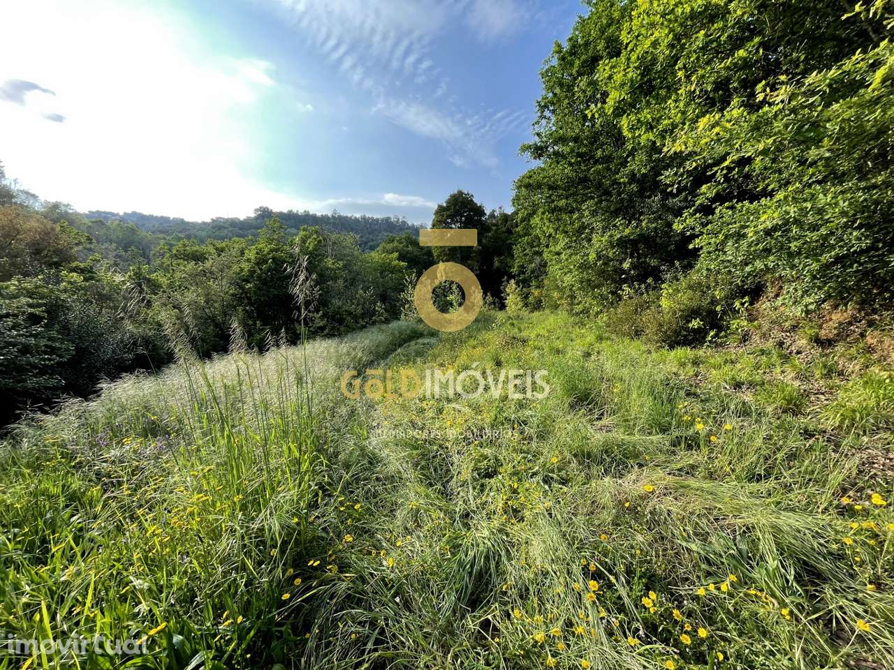 Terreno Rústico - Grande imagem: 5/19