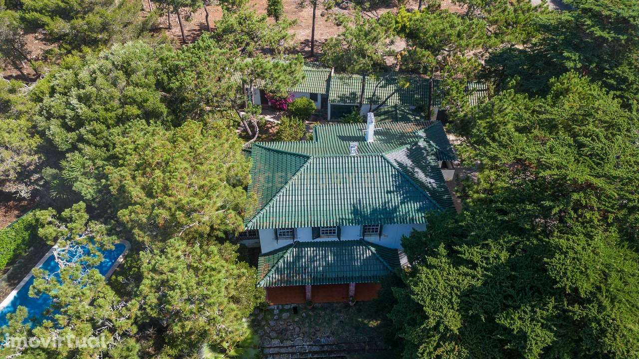 Propriedade única na Quinta da Marinha - Frente ao mar - Grande imagem: 5/22