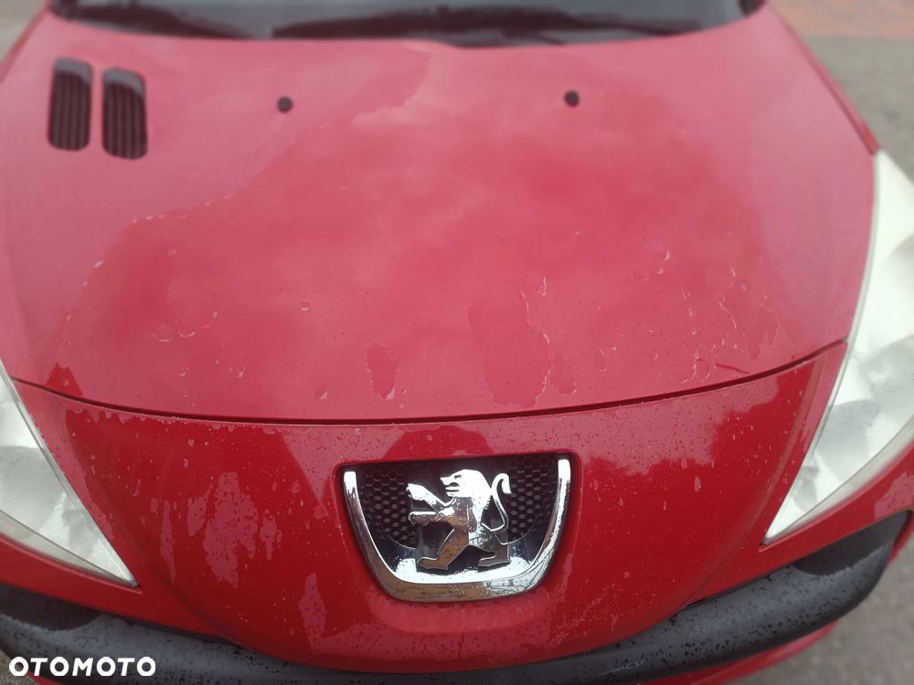 Peugeot 206 - 3