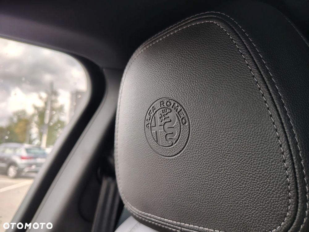 Alfa Romeo Stelvio 2.0 Turbo Veloce Q4 - 30