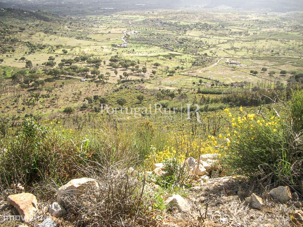 Propriedade de 9ha inserida no P. N. Serra de S. Mamede - Grande imagem: 4/8
