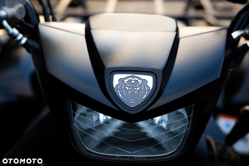 Yamaha Grizzly - 22
