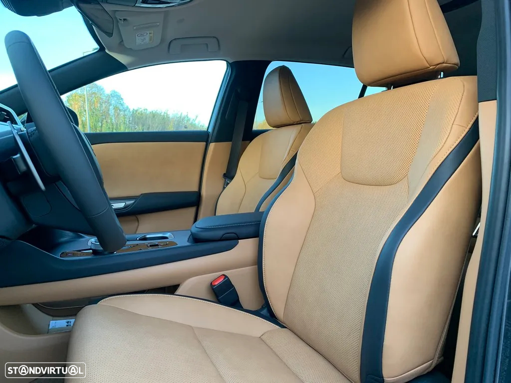 Lexus RZ 450e Executive Plus - 20