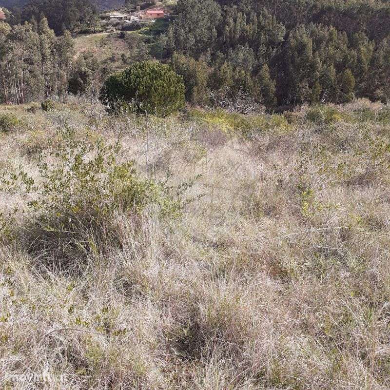 Terreno  para venda - Grande imagem: 3/7