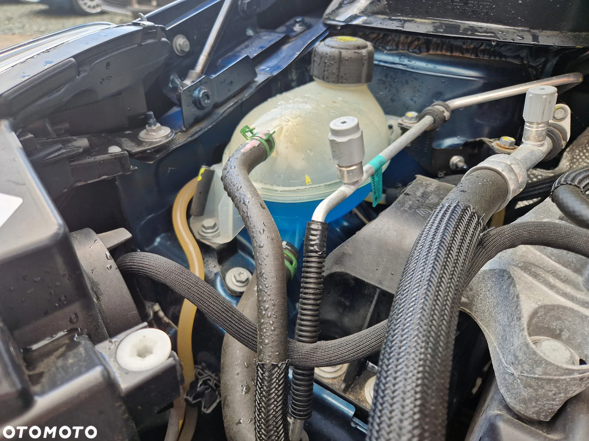 Renault Captur 1.5 dCi Energy Zen EDC EU6 - 21