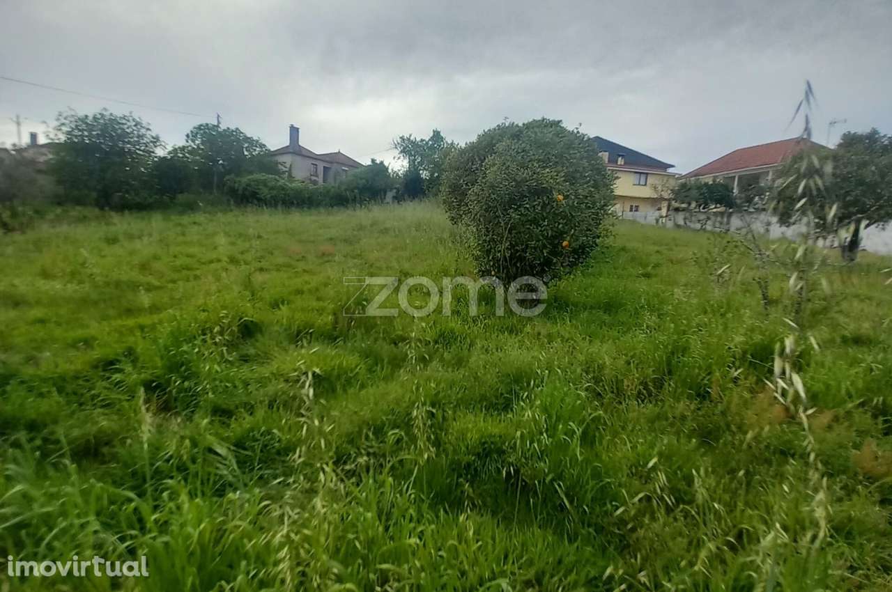 Moradia T3 com quintal e terreno - Grande imagem: 3/24