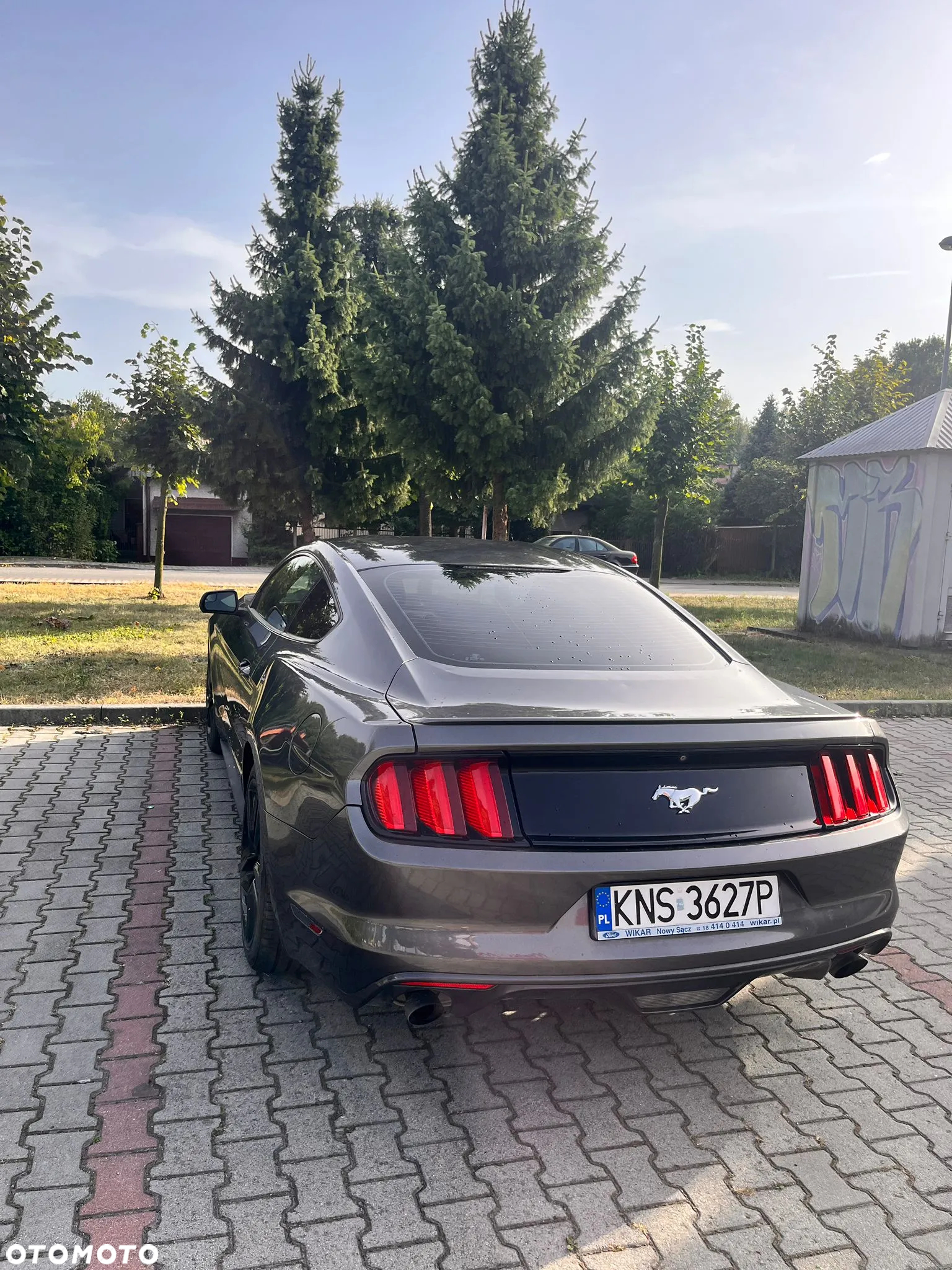 Ford Mustang 2.3 EcoBoost - 2
