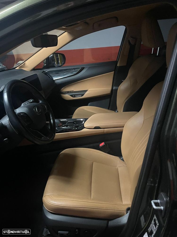 Lexus NX 450h+ Executive Plus - 36