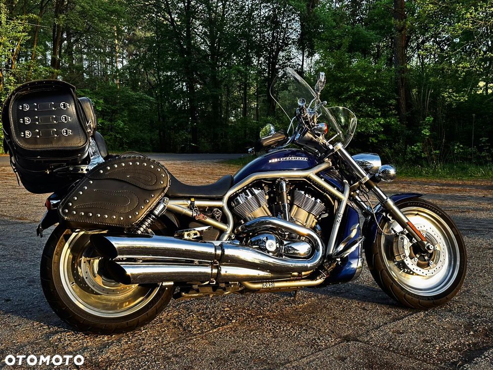 Harley-Davidson V-Rod Street Rod - 6