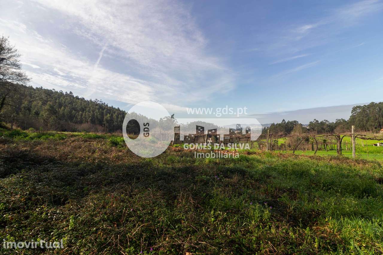 Terreno Agrícola em Vale São Martinho, Vila Nova de Famalicão - Grande imagem: 2/16