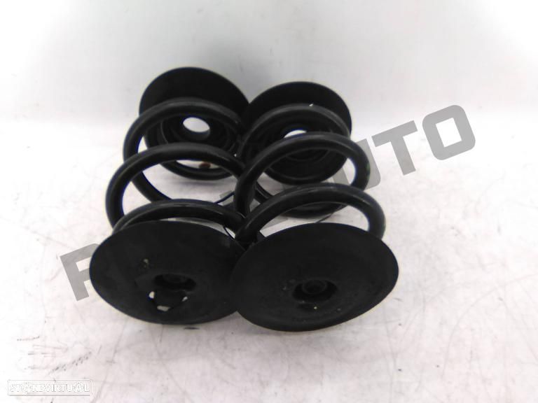 Conjunto Molas Suspensão Trás  Bmw 3 (e46) [1997_2005] 320d - 1