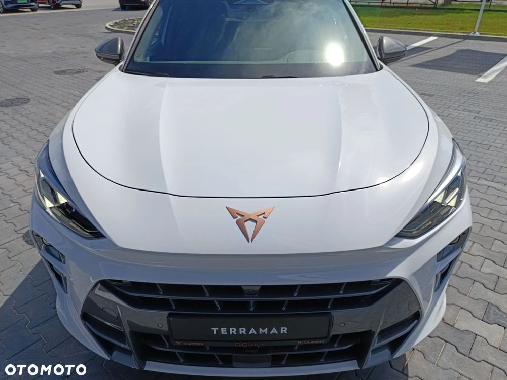 Cupra Terramar 2.0 TSI 4Drive Advantage Edition DSG - 12