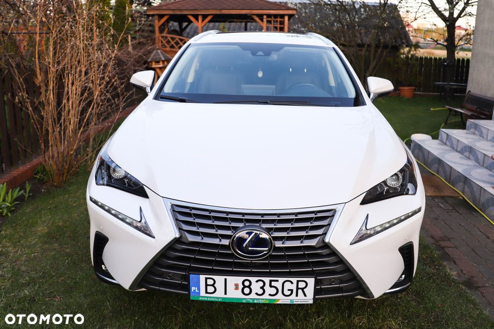 Lexus NX 300h - 3