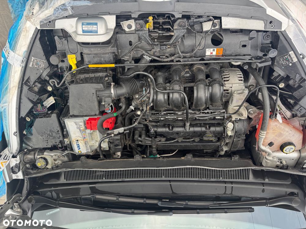 Ford B-MAX 1.6 Individual - 8