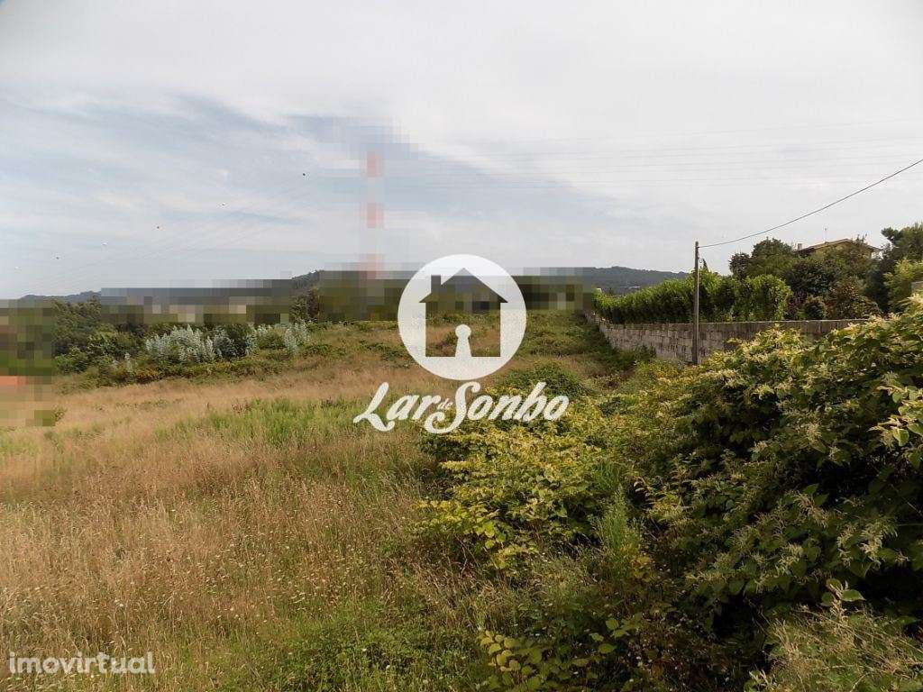 Terreno com 8.100 m2 - Landim - Grande imagem: 2/4