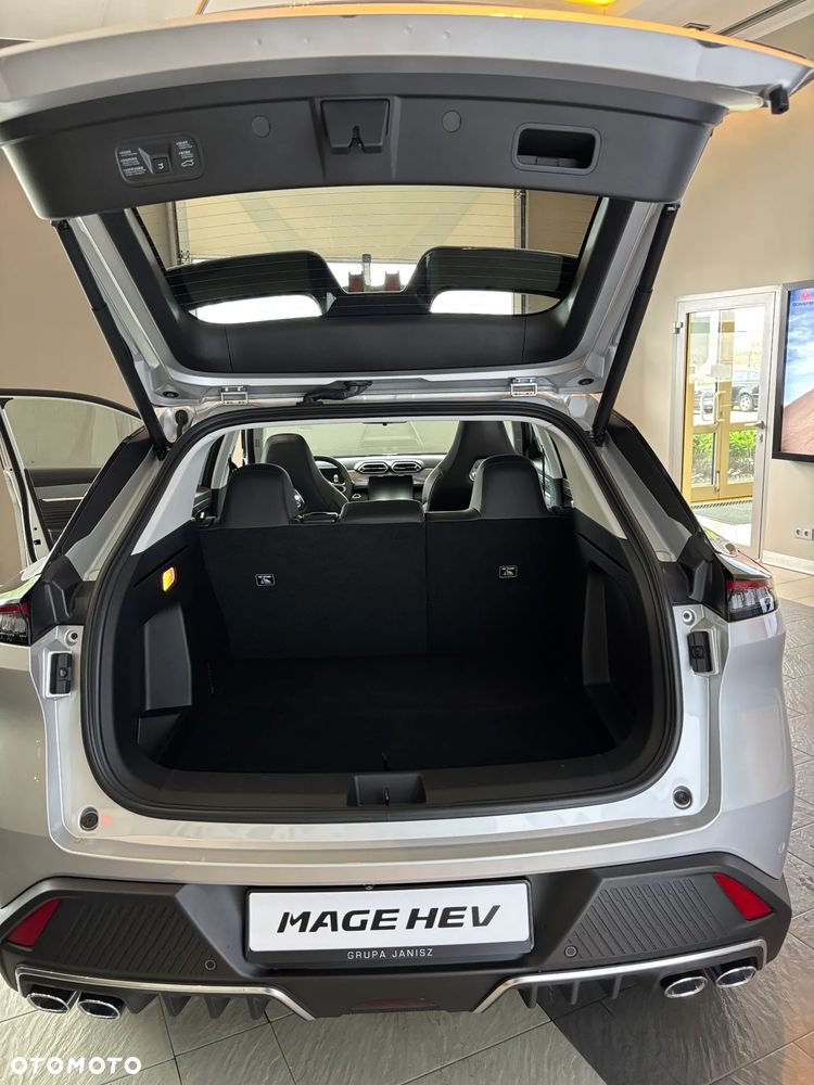 Dongfeng Mage - 29