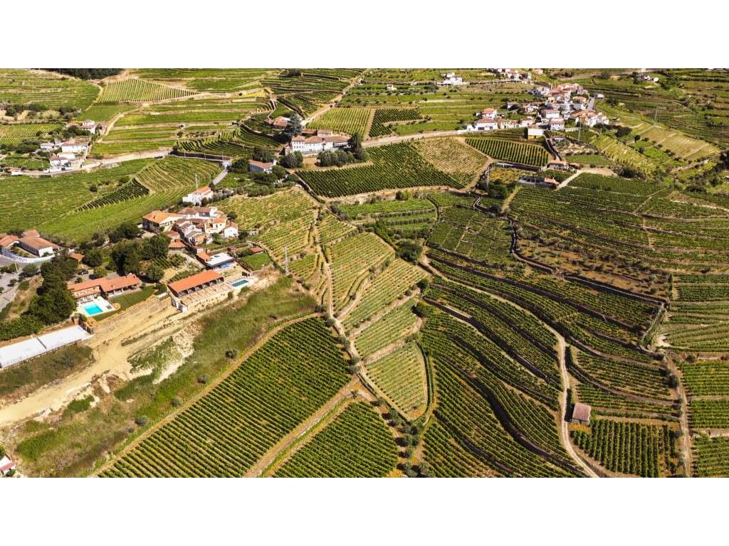 Quinta no Douro - Grande imagem: 3/8