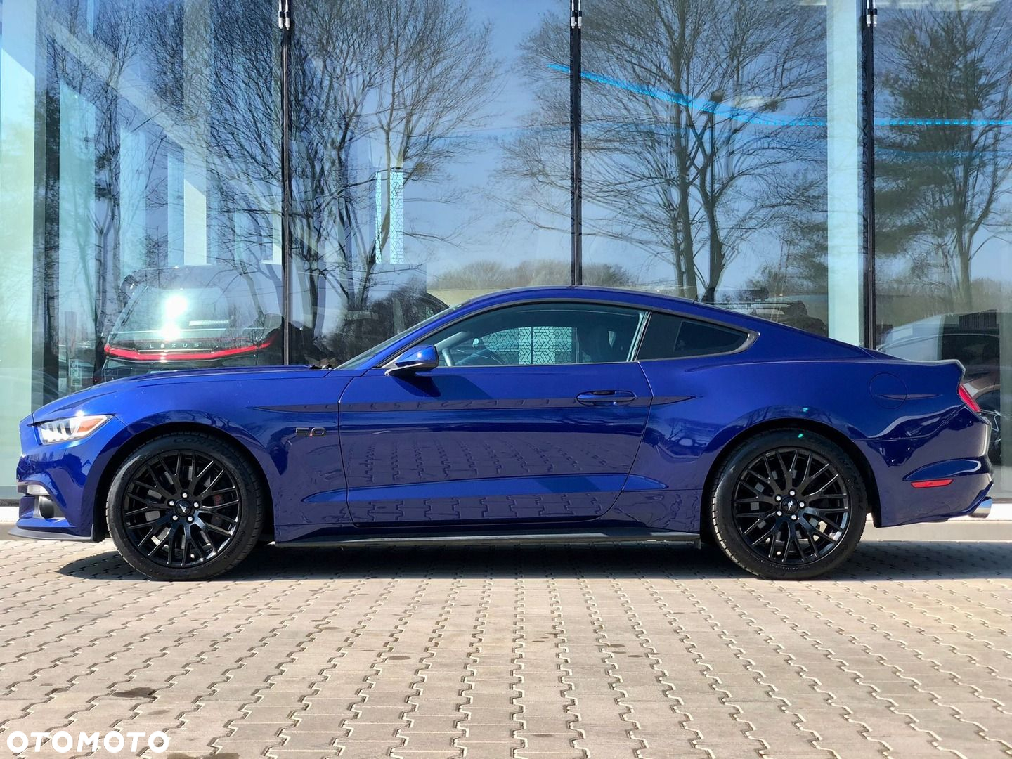 Ford Mustang 5.0 V8 GT - 3