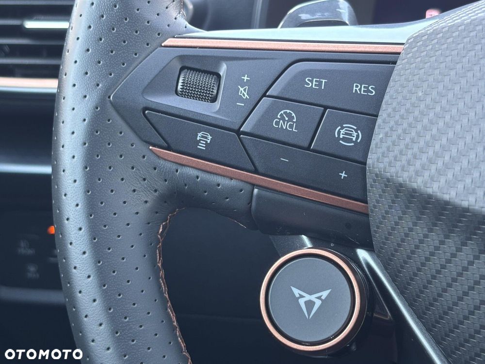 Cupra Formentor 2.0 TSI 4Drive DSG - 29