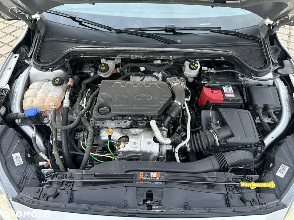 Ford Focus - 31