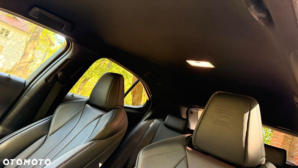 Lexus UX 250h F SPORT - 13