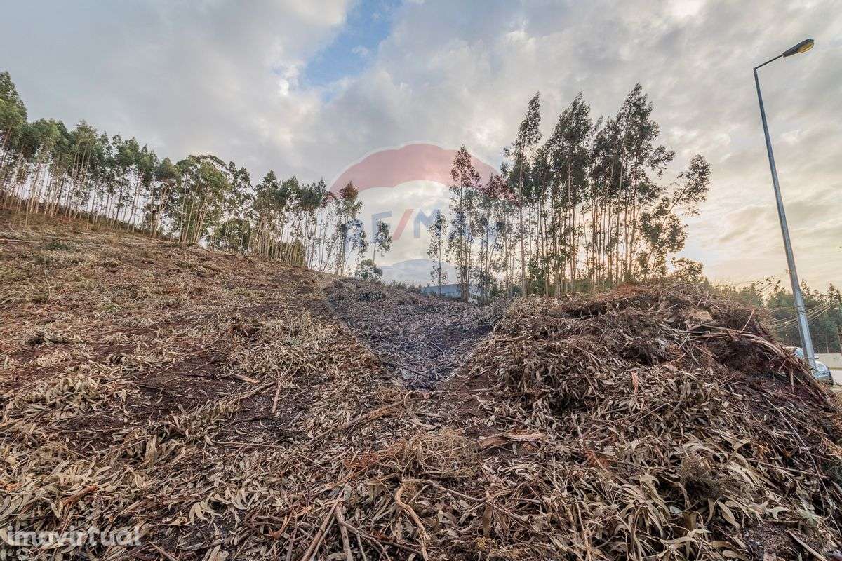 Terreno  para venda - Grande imagem: 5/9