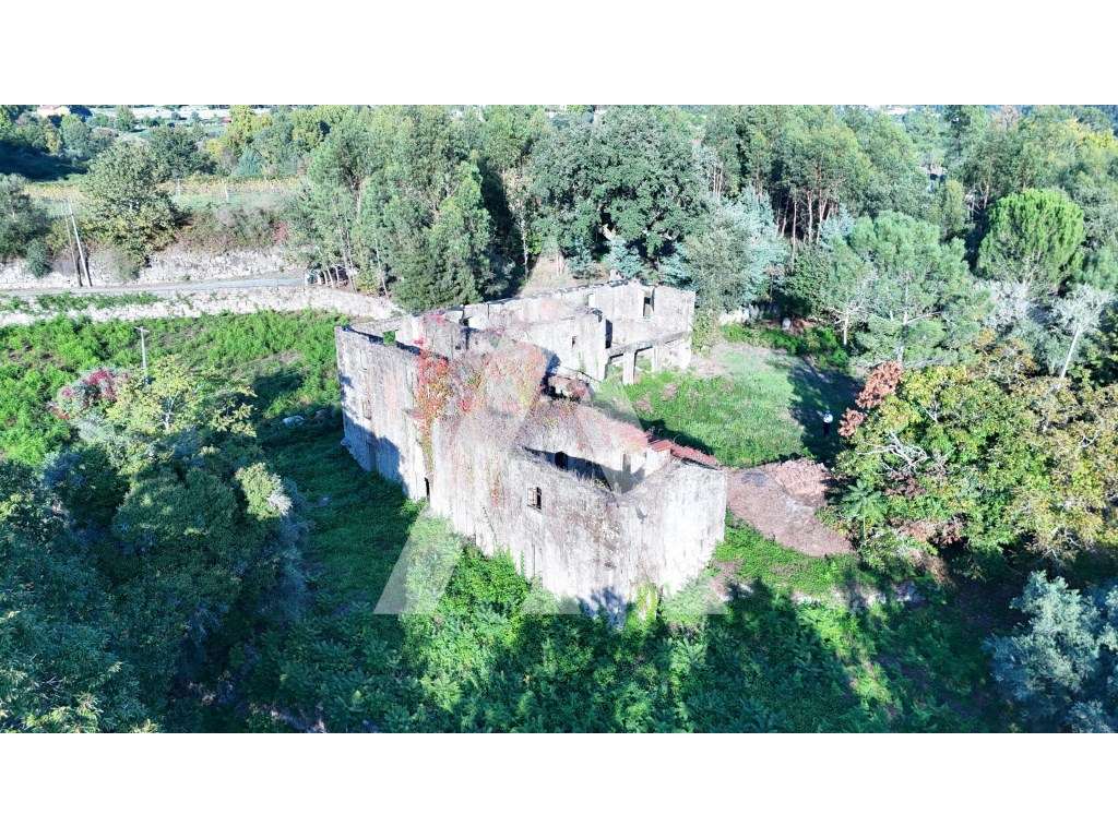 Quinta com 24.203 m² e Ruína em Pedra de 404 m² | Santa Maria de Bo... - Grande imagem: 4/29