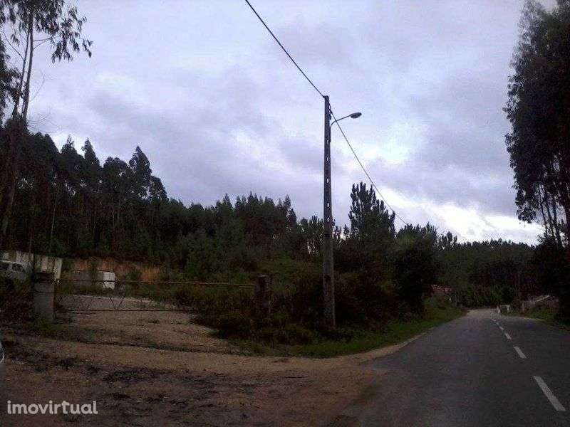 Terreno Rústico Para Construção De Moradia - Landal / Caldas Da Rainha - Grande imagem: 3/5